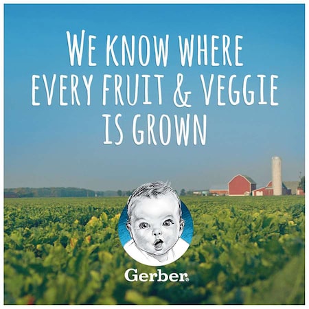 Gerber Gerber 1st Foods Butternut Squash Multi Pack 4 oz. Tubs, PK8 00015000910341U